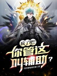 疯了吧你管这叫辅助漫画叫什么来着