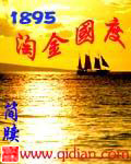 1987淘金国度小说