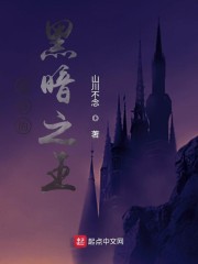 最后的黑暗之王起点 第107章