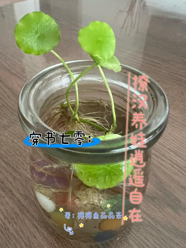 穿书七零锦鲤养娃