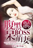 前夫追妻令腹黑boss呆萌妻