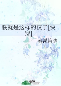 朕就是这样子汉子怎么写