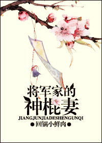 将军家的丫头讲的什么