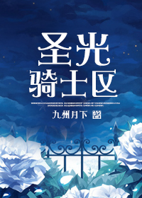 牧师和圣骑士的圣光