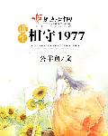 重生相守1977免费下载小说