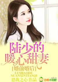 陆少新婚甜甜宠全本免费