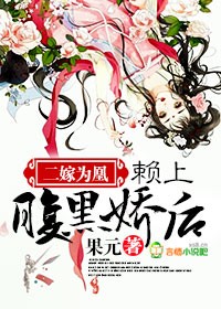 二嫁医妃全文免费阅读