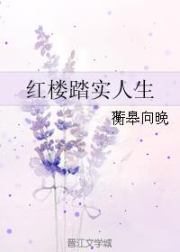 红楼之踏实人生小说