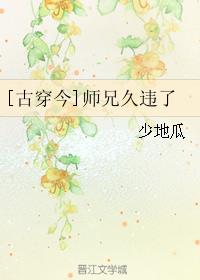 师兄古言小说