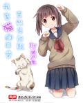 我家的猫200字作文