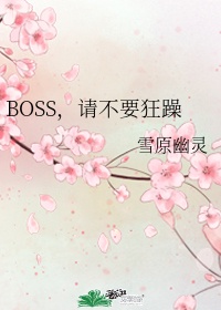 BOSS,请不要狂躁