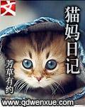 我的猫妈妈作文800