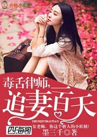 毒舌女律师小说