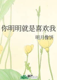 《你明明就是喜欢我》作者:明月像饼