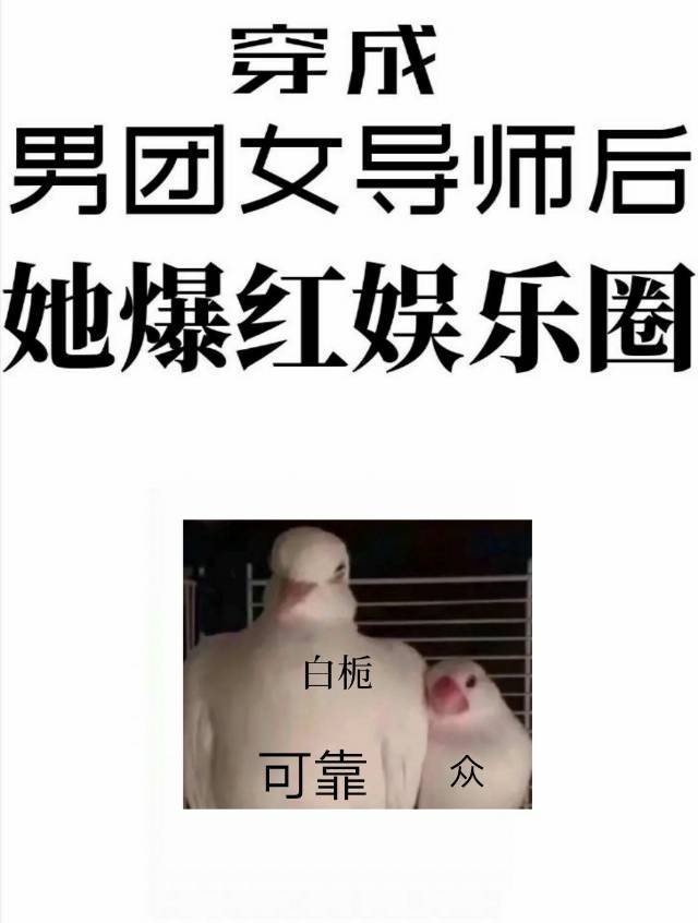 穿成男团里的女导师小说免费阅读