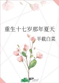 第二本:《重生十七岁那年夏天》 作者:半截白菜