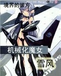 dnf女机械附魔什么宝珠