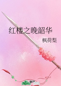 红楼之玫瑰花刺 小说