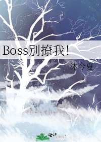 这个boss有点谜