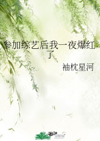 枕星河梦是什么意思