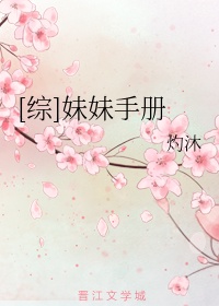 妹妹手册(心灵代码)