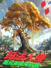 法师传奇3:玛法入侵小说