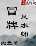 冒牌风水师好看么吗