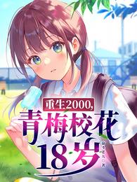 重生2000青梅校花18