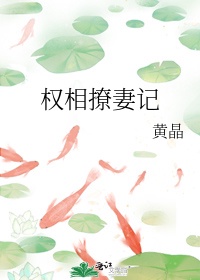 权相的宠妻日常九斛珠