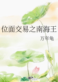 位面交易之南海王by万年龟