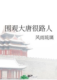 大唐gang是什么意思