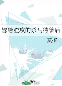 嫁给渣攻的杀马特爹后下载全文免费阅读