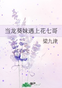 龙葵花被