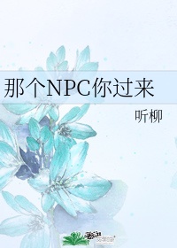 那个npc又杀疯了边巡小说