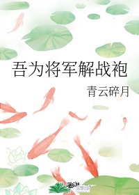 吾为将军解战袍小说讲的什么