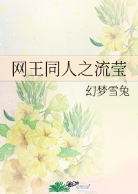 流星花园电视剧免费观看完整版