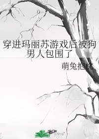 穿进玛丽苏世界后我点满了魅力值 曲寒