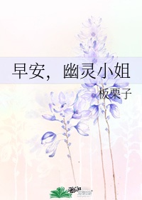 幽灵小姐TXT