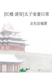 红楼清穿太子宠妻日常免费全文小说