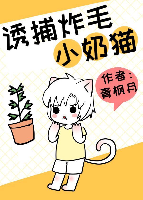 诱捕炸毛小奶猫 青枫月