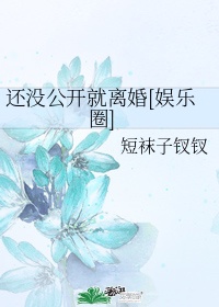 还没公开就离婚txt宝书网