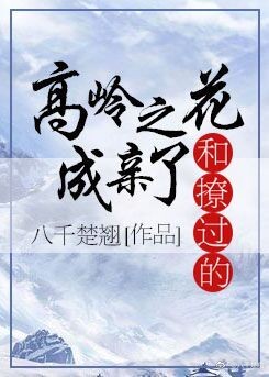 《与高岭之花闪婚》作者:多梨