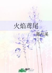 不同颜色鸢尾花的花语