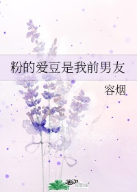 粉我的爱豆什么意思