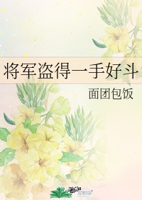 将军盗的一首好斗