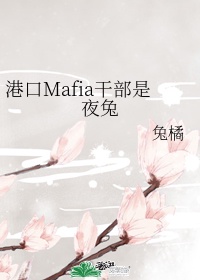 身为港口Mafia干部变成警视