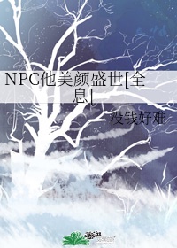 npc他美颜盛世全息