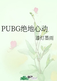 pubg绝地求生小说txt