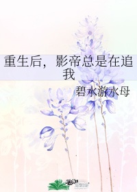 重生后,影帝总是在追我