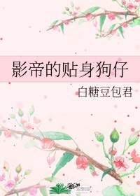 老婆贴贴什么意思